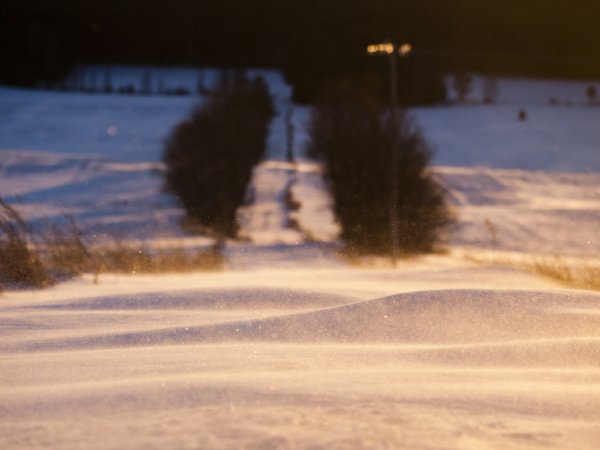 Vinteräng i kvällsljus
