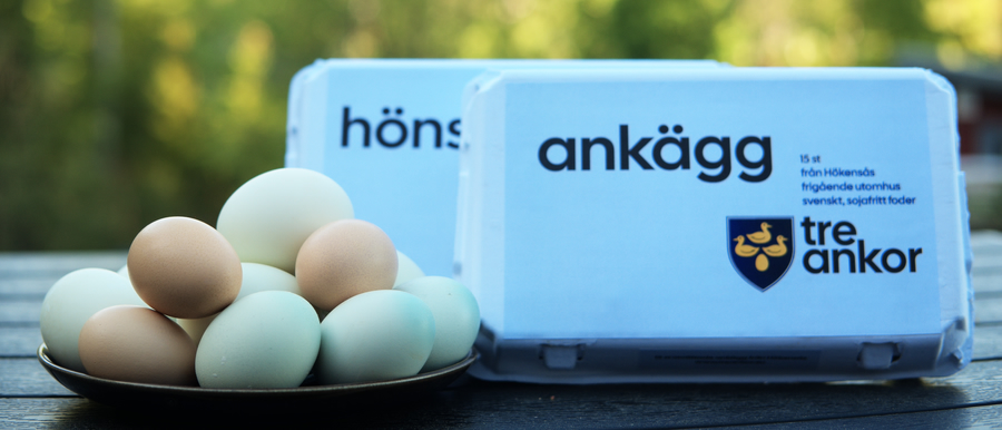 Egg kartonger med ankägg och hönsägg från gården